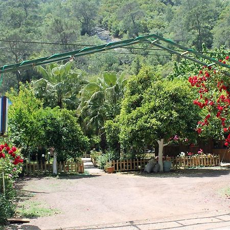 Oran Pansiyon Agac Evler Hotel Çıralı Ngoại thất bức ảnh