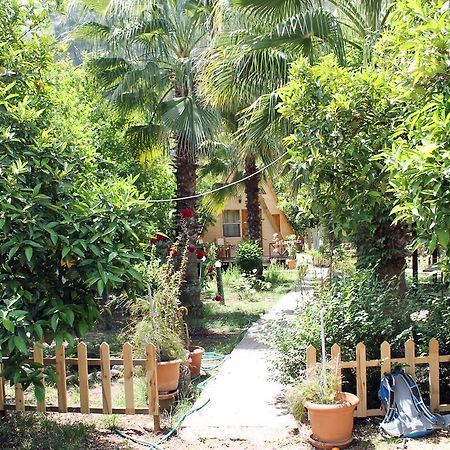 Oran Pansiyon Agac Evler Hotel Çıralı Ngoại thất bức ảnh
