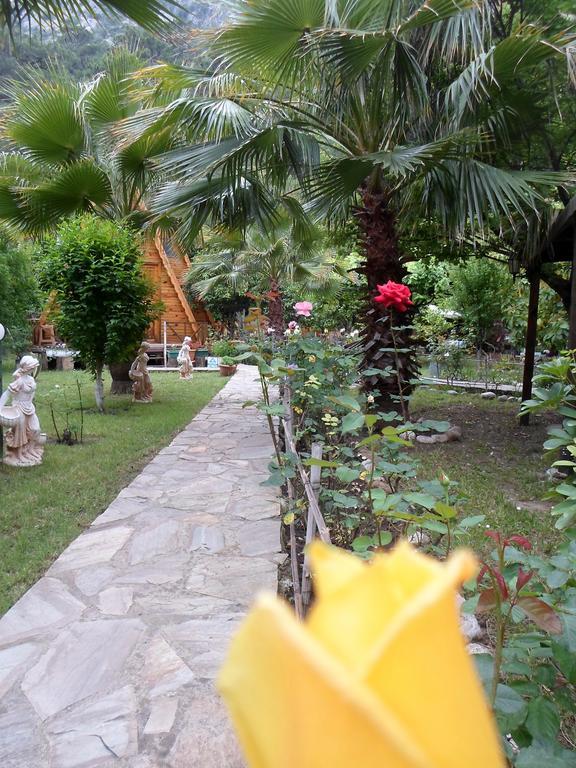 Oran Pansiyon Agac Evler Hotel Çıralı Ngoại thất bức ảnh