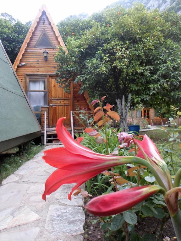 Oran Pansiyon Agac Evler Hotel Çıralı Ngoại thất bức ảnh