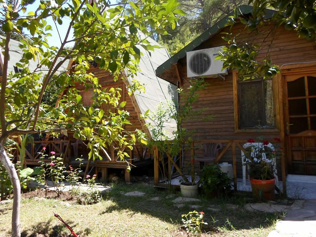 Oran Pansiyon Agac Evler Hotel Çıralı Ngoại thất bức ảnh