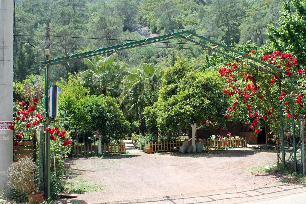 Oran Pansiyon Agac Evler Hotel Çıralı Ngoại thất bức ảnh