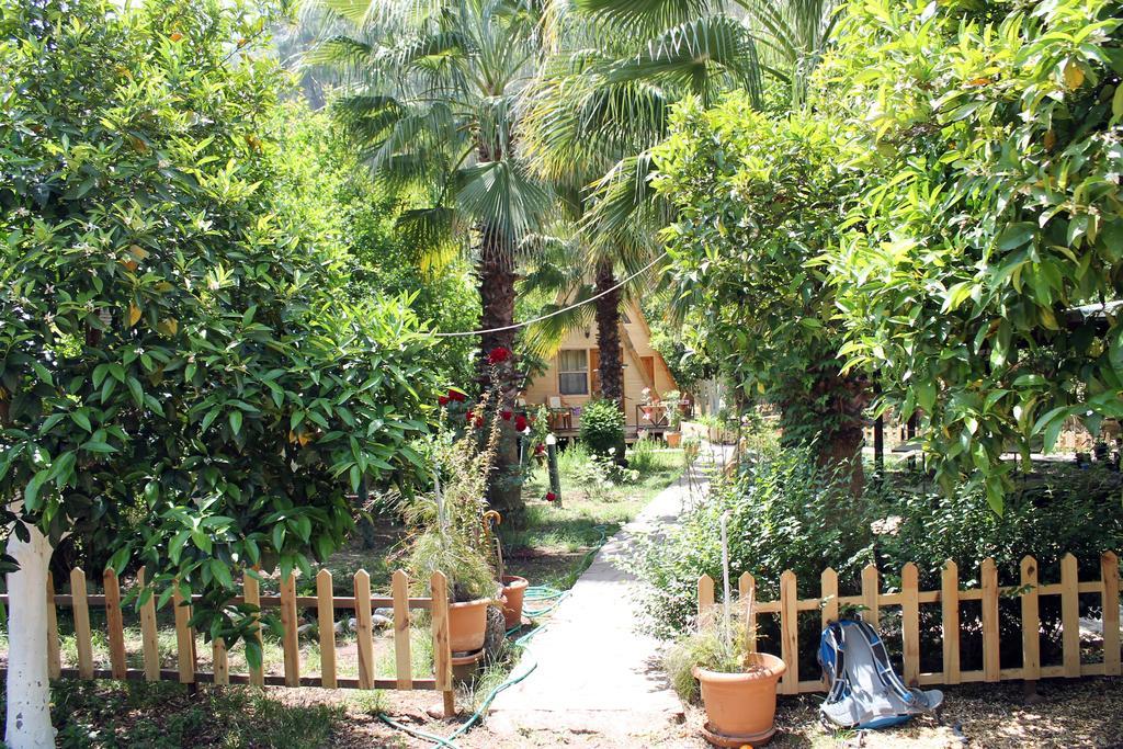 Oran Pansiyon Agac Evler Hotel Çıralı Ngoại thất bức ảnh
